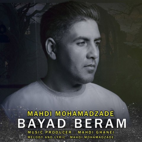 مهدی محمد زاده  باید برم
